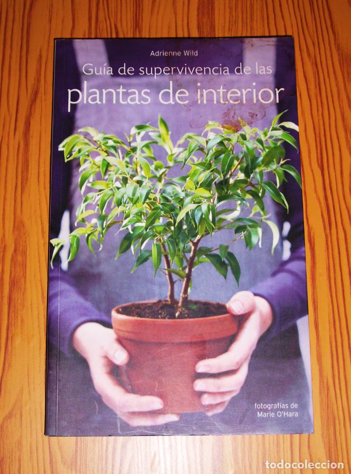 Libri di seconda mano: Gu&iacute;a de supervivencia de las plantas de interior / Adrienne Wild ; fotograf&iacute;as de Marie O'Hara