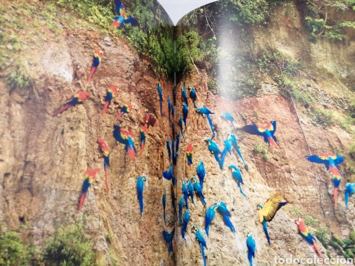 Libros de segunda mano: Salvajes de Steve Bloom - Foto 4
