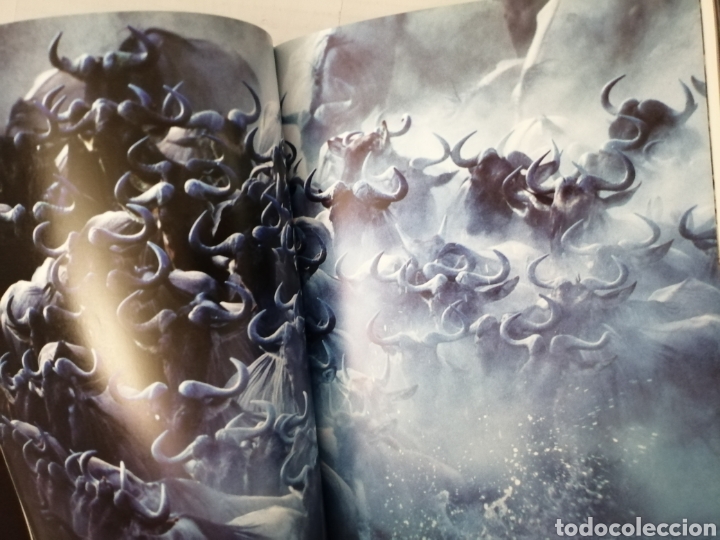 Libros de segunda mano: Salvajes de Steve Bloom - Foto 5
