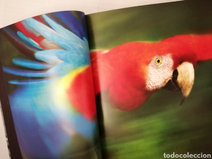 Libros de segunda mano: Salvajes de Steve Bloom - Foto 7