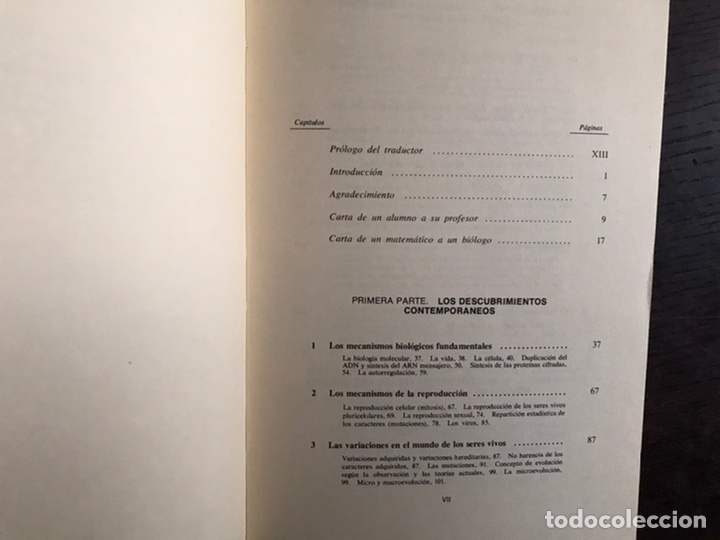 Libros de segunda mano de ciencias: Azar y certeza. G. Salet . Alhambra - Foto 3