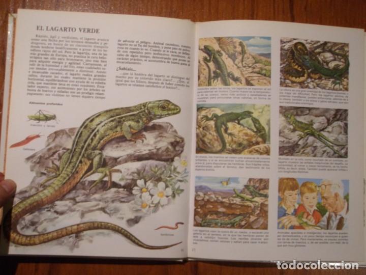 Libros de segunda mano: LIBRO VIDA INTIMA DE LOS ANIMALES DE LA MONTA&Ntilde;A Y EL VALLE - Foto 4
