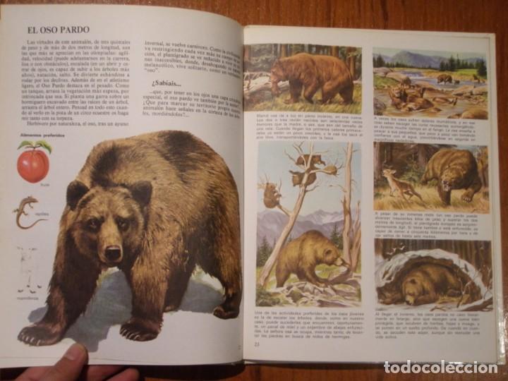Libros de segunda mano: LIBRO VIDA INTIMA DE LOS ANIMALES DE LA MONTA&Ntilde;A Y EL VALLE - Foto 5