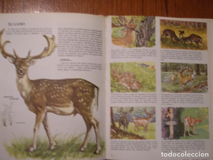Libros de segunda mano: LIBRO VIDA INTIMA DE LOS ANIMALES DE LA MONTA&Ntilde;A Y EL VALLE - Foto 6