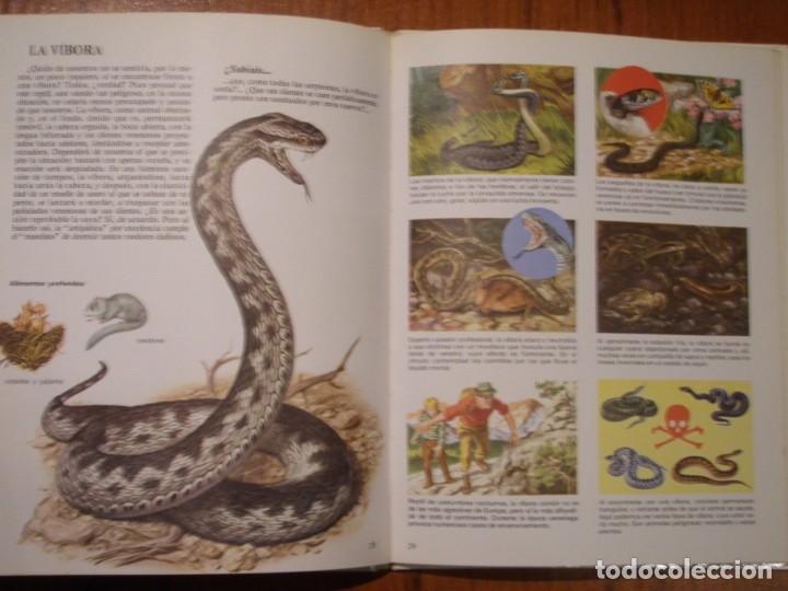 Libros de segunda mano: LIBRO VIDA INTIMA DE LOS ANIMALES DE LA MONTA&Ntilde;A Y EL VALLE - Foto 7