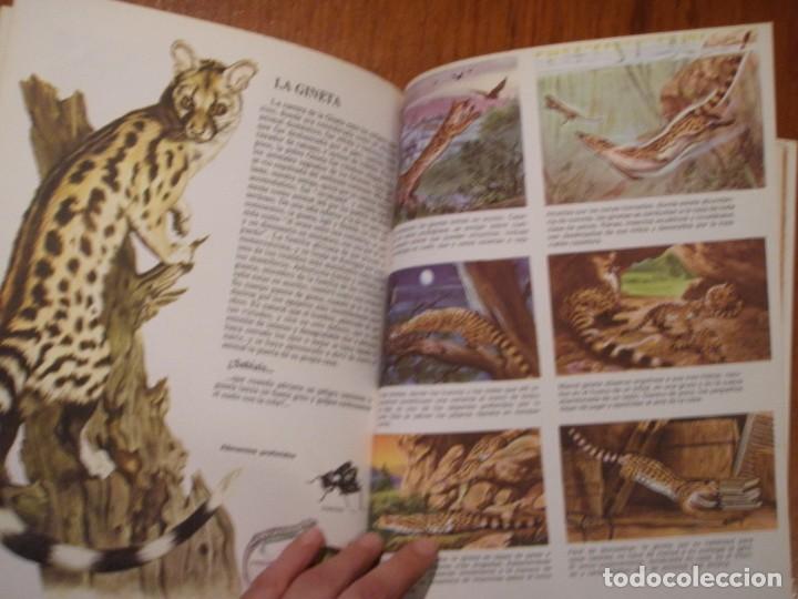 Libros de segunda mano: LIBRO VIDA INTIMA DE LOS ANIMALES DE LA MONTA&Ntilde;A Y EL VALLE - Foto 8