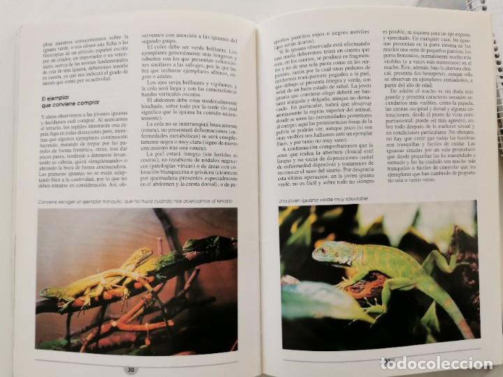 Libros de segunda mano: LA IGUANA - Foto 3