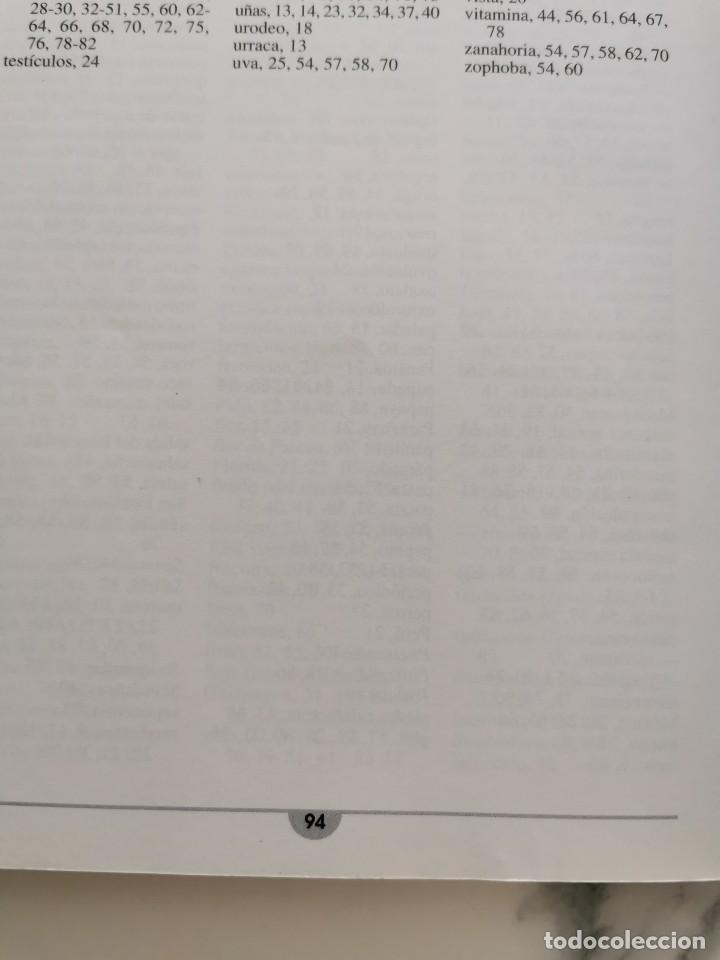 Libros de segunda mano: LA IGUANA - Foto 4