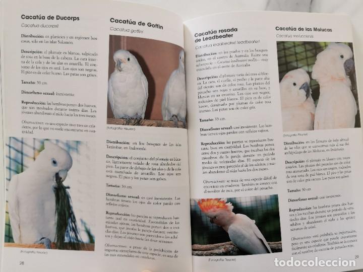 Libros de segunda mano: LAS CACATUAS - Foto 3