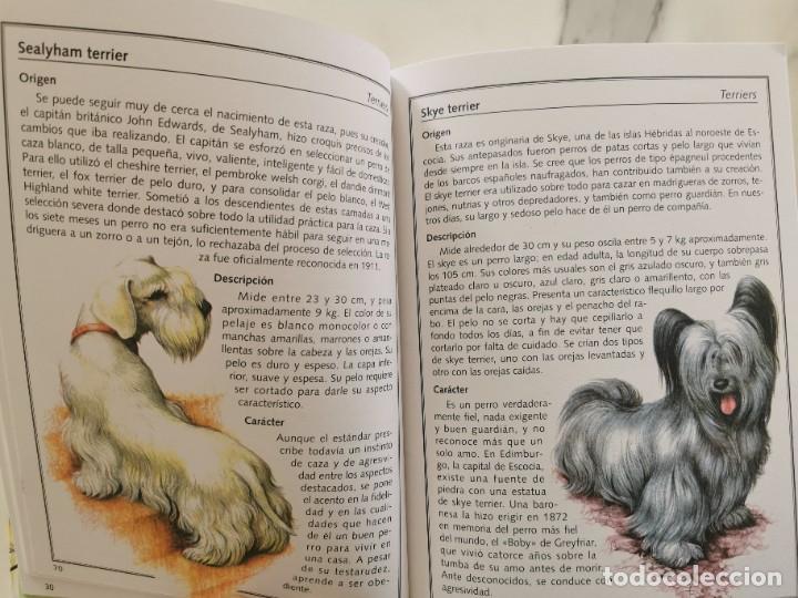 Libros de segunda mano: ANIMALES DE COMPA&Ntilde;IA, GRAN ENCICLOPEDIA - Foto 4