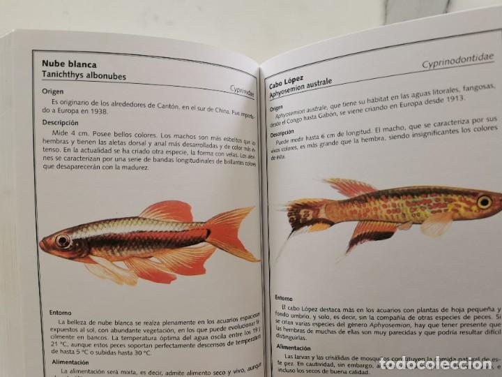 Libros de segunda mano: ANIMALES DE COMPA&Ntilde;IA, GRAN ENCICLOPEDIA - Foto 7