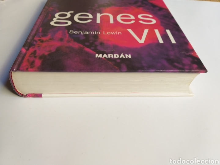 Libros de segunda mano de ciencias: Genes VII . Benjam&iacute;n Lewin . Marb&aacute;n libros 2001 .temas fisica - Foto 3
