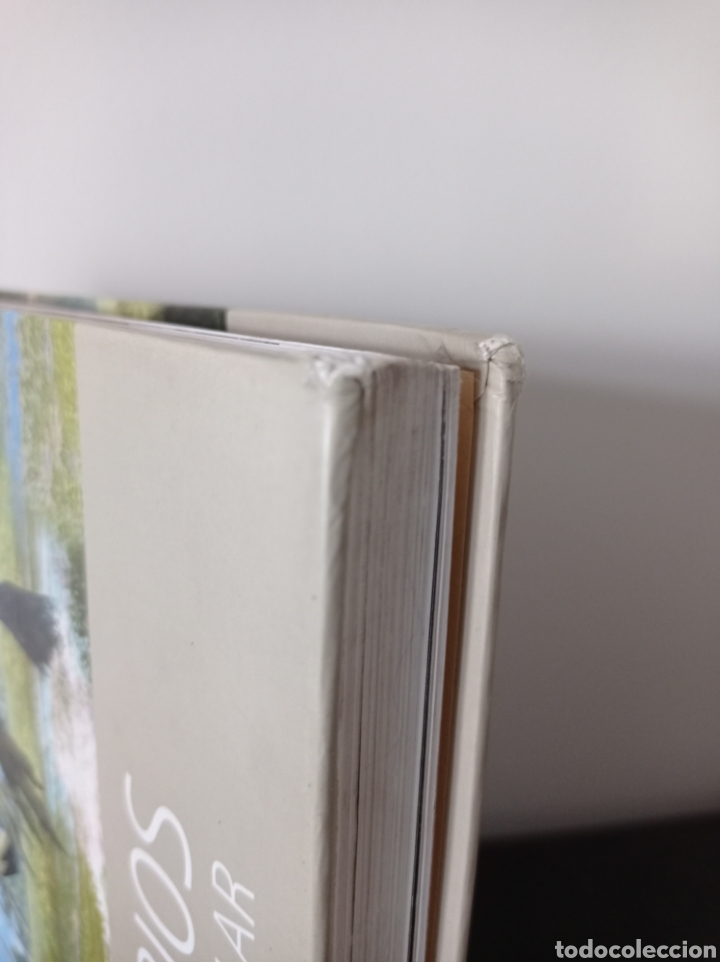 Libros de segunda mano: DINOSAURIOS DEL LEVANTE PENINSULAR - VV.AA. - ICP - Foto 3