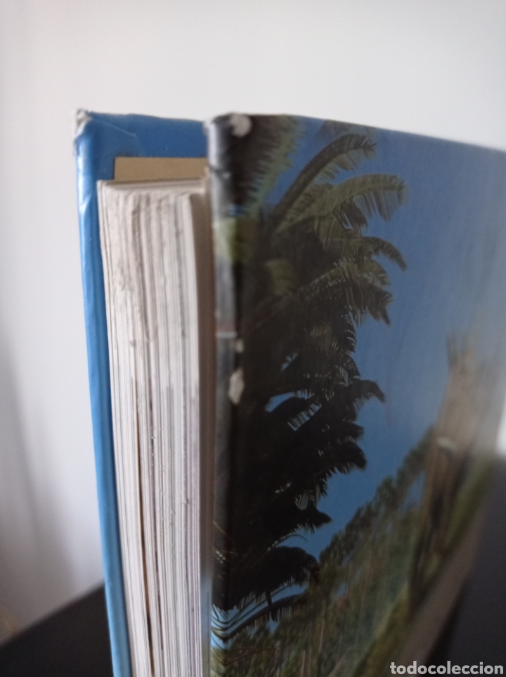 Libros de segunda mano: DINOSAURIOS DEL LEVANTE PENINSULAR - VV.AA. - ICP - Foto 5