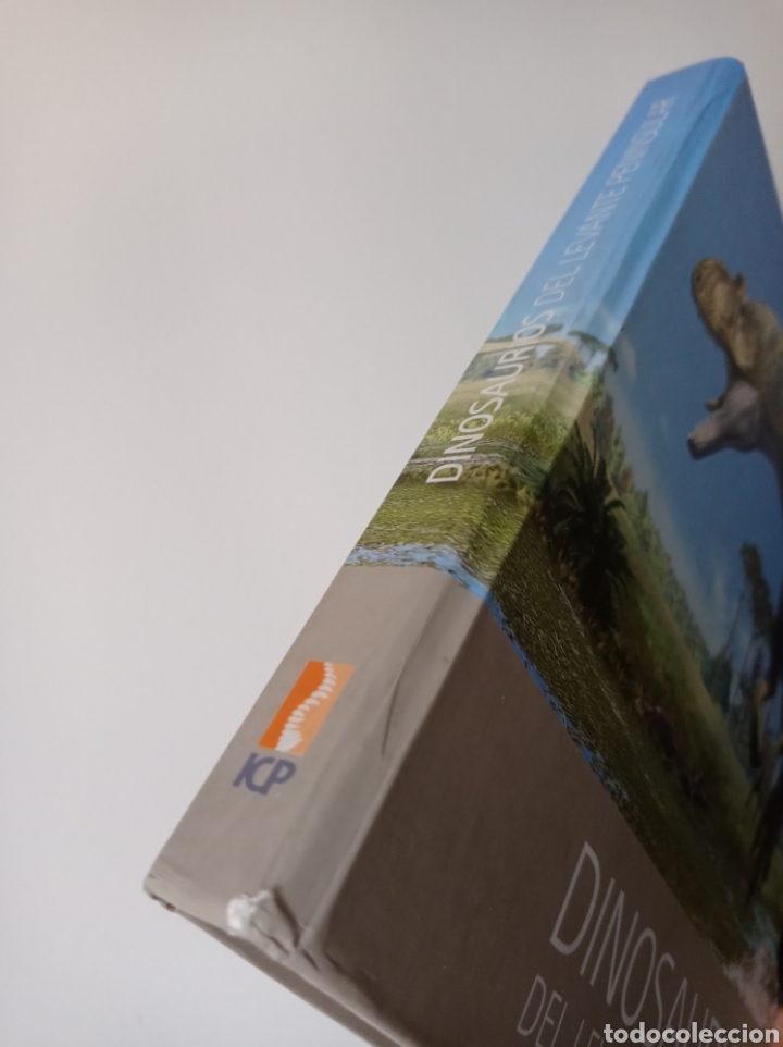 Libros de segunda mano: DINOSAURIOS DEL LEVANTE PENINSULAR - VV.AA. - ICP - Foto 6