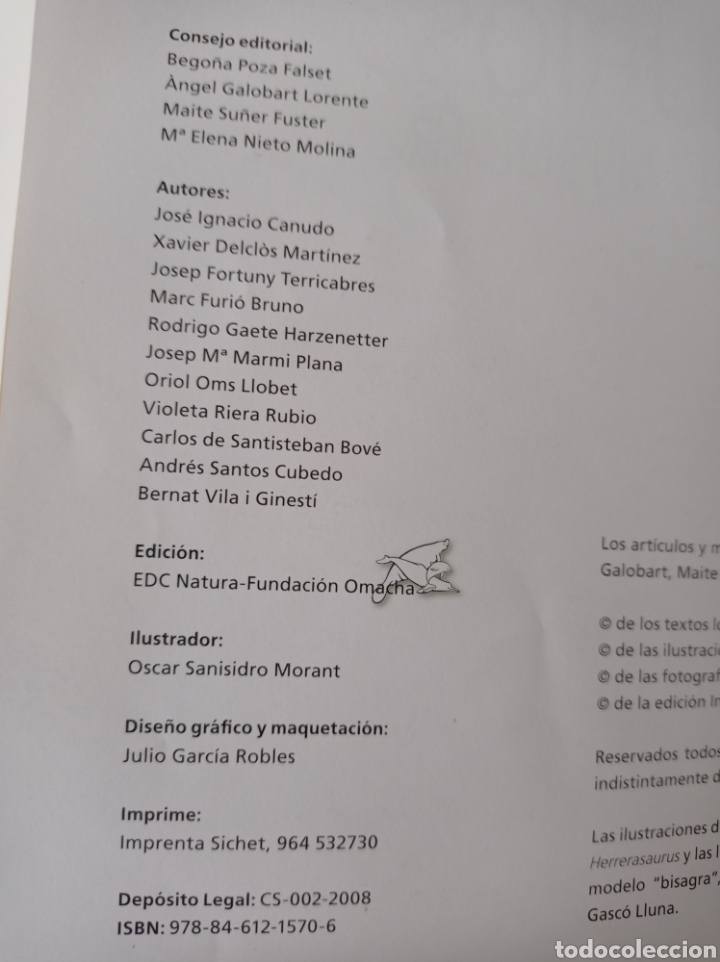 Libros de segunda mano: DINOSAURIOS DEL LEVANTE PENINSULAR - VV.AA. - ICP - Foto 7