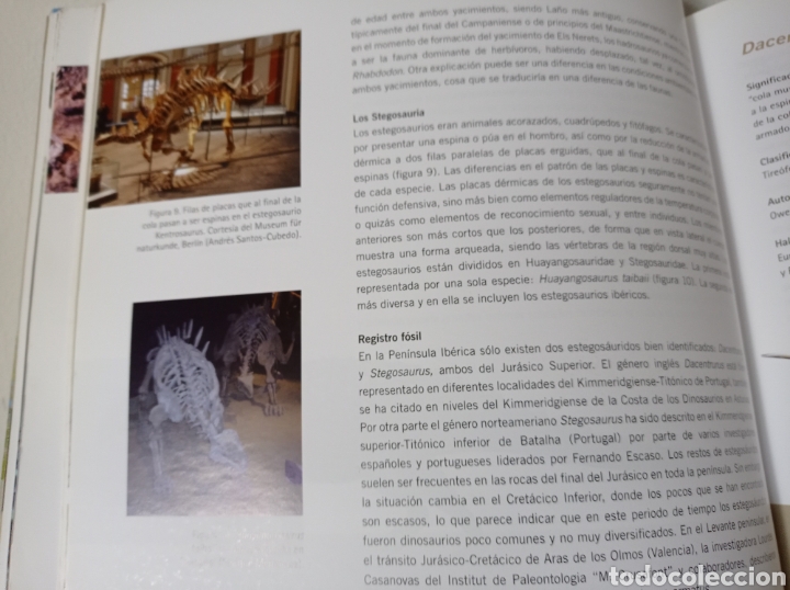 Libros de segunda mano: DINOSAURIOS DEL LEVANTE PENINSULAR - VV.AA. - ICP - Foto 9