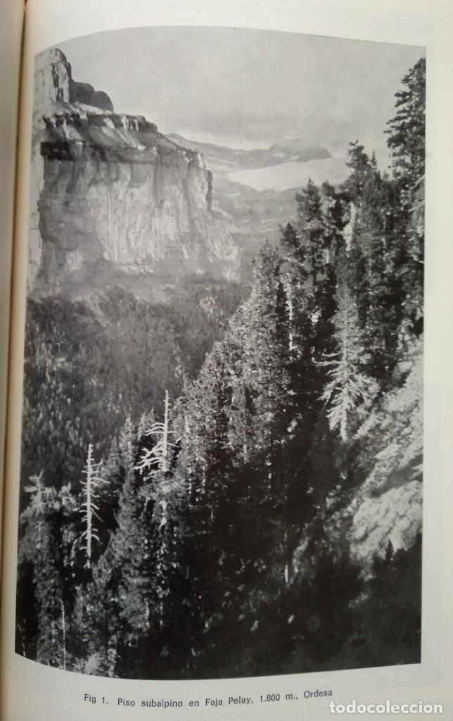 Libros de segunda mano: LA JACETANIA Y LA VIDA VEGETAL --- PEDRO MONTSERRAT RECODER - Foto 3