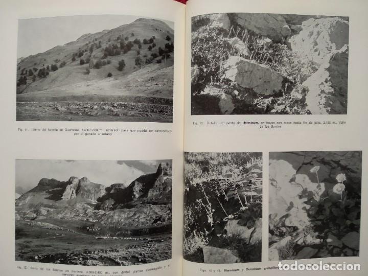 Libros de segunda mano: LA JACETANIA Y LA VIDA VEGETAL --- PEDRO MONTSERRAT RECODER - Foto 4