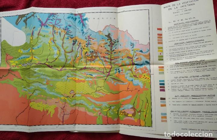 Libros de segunda mano: LA JACETANIA Y LA VIDA VEGETAL --- PEDRO MONTSERRAT RECODER - Foto 5