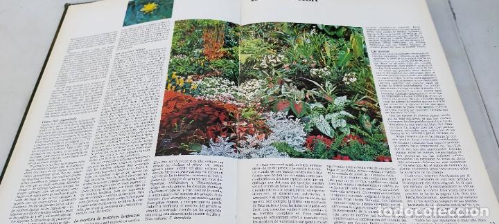 Libros de segunda mano: EL JARDIN EN CASA - CIRCULO DE LECTORES ESQ-707 - Foto 7