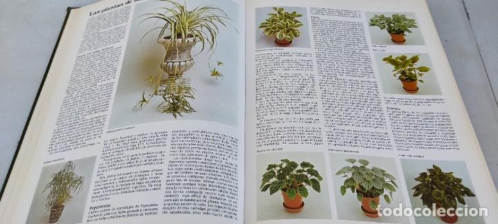Libros de segunda mano: EL JARDIN EN CASA - CIRCULO DE LECTORES ESQ-707 - Foto 9