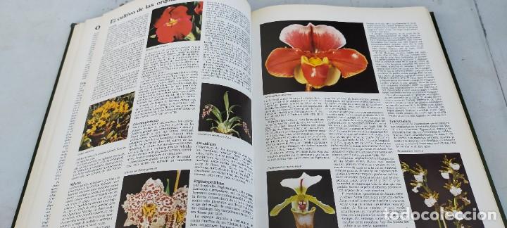 Libros de segunda mano: EL JARDIN EN CASA - CIRCULO DE LECTORES ESQ-707 - Foto 11