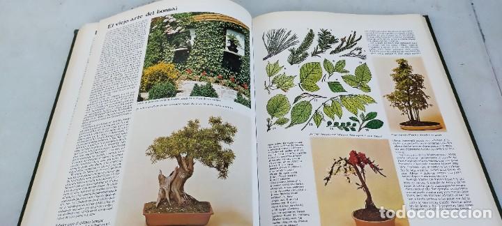Libros de segunda mano: EL JARDIN EN CASA - CIRCULO DE LECTORES ESQ-707 - Foto 13