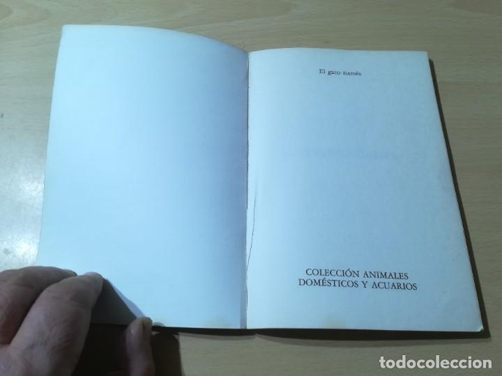 Libros de segunda mano: EL GATO SIAMES - RICARDO CASTILLO - EDITORIAL DE VECCHI ZESQ401 - Foto 4