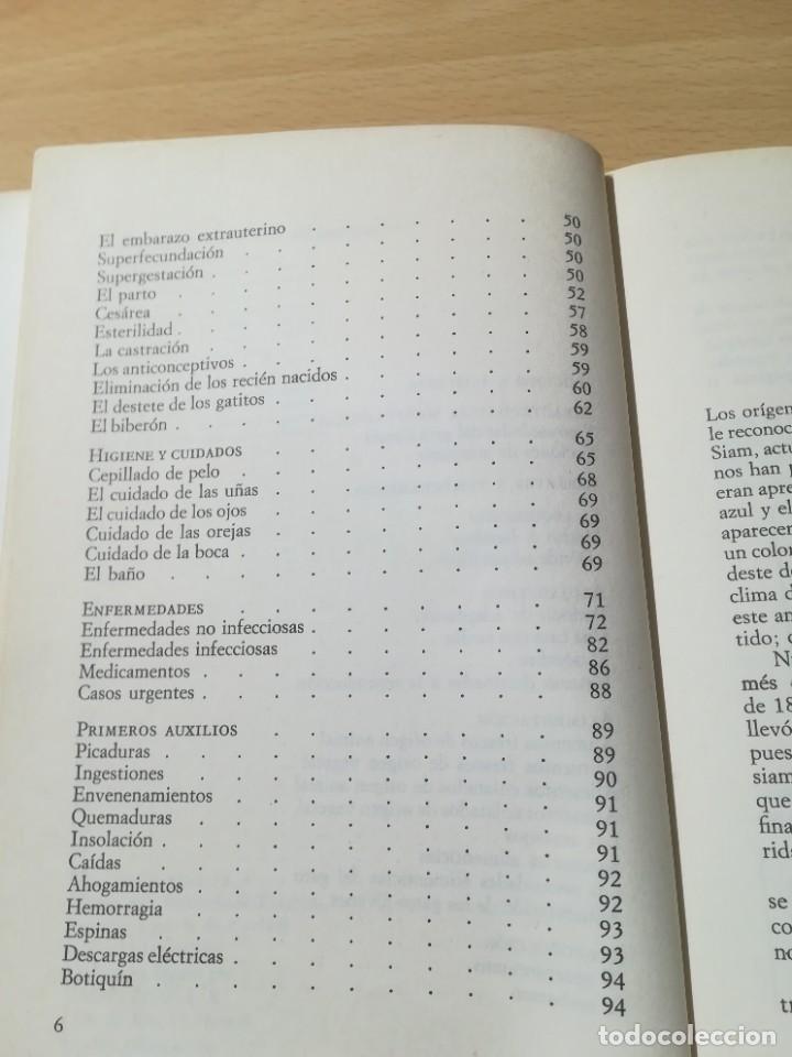 Libros de segunda mano: EL GATO SIAMES - RICARDO CASTILLO - EDITORIAL DE VECCHI ZESQ401 - Foto 10