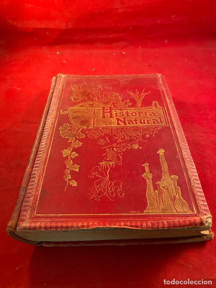 Libros de segunda mano: Historia Natural - Foto 2