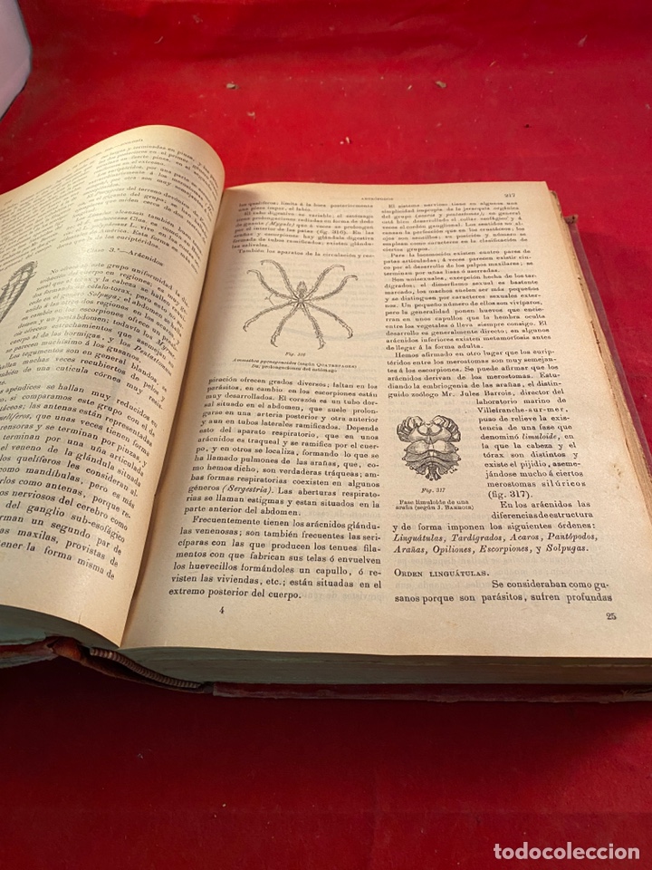 Libros de segunda mano: Historia Natural - Foto 4