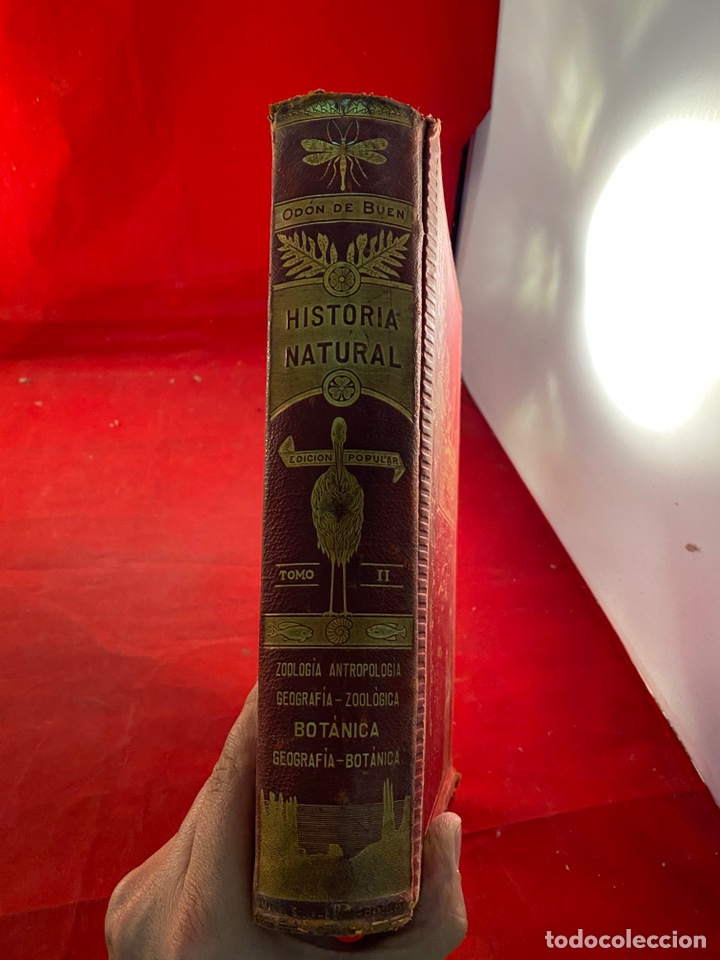 Libros de segunda mano: Historia Natural - Foto 5