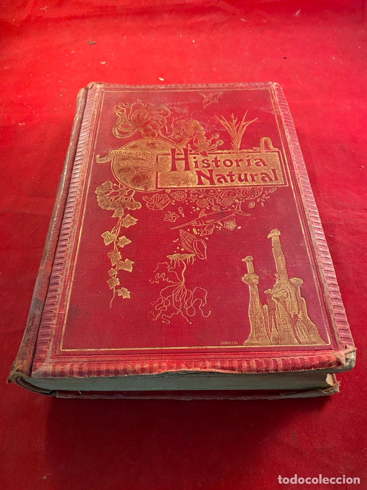 Libros de segunda mano: Historia Natural - Foto 1