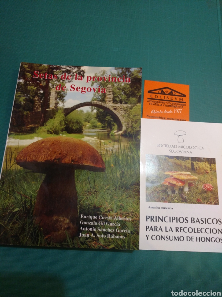 Libri di seconda mano: SETAS DE LA PROVINCIA DE SEGOVIA 1994.