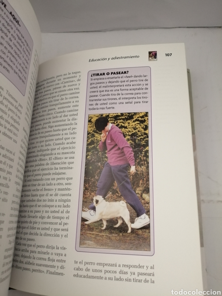 Libros de segunda mano: Pug (Serie Excellence Razas de Hoy) - Foto 3