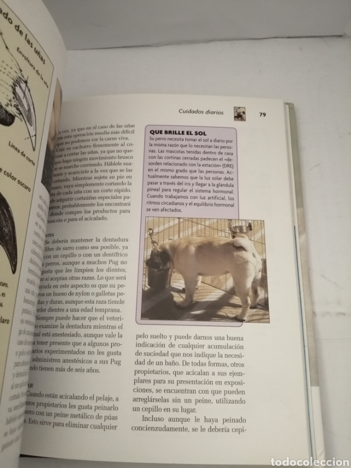 Libros de segunda mano: Pug (Serie Excellence Razas de Hoy) - Foto 4
