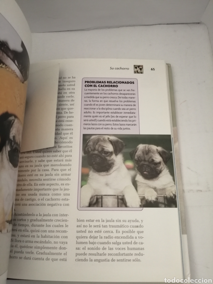 Libros de segunda mano: Pug (Serie Excellence Razas de Hoy) - Foto 5