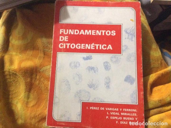 Gebrauchte B&uuml;cher: FUNDAMENTOS DE CITOGEN&Eacute;TICA - &rdquo;PEREZ VARGAS Y FERRONI - VIDAL MIRALLES, L. - ESPEJO BUENO, P. - DIAZ