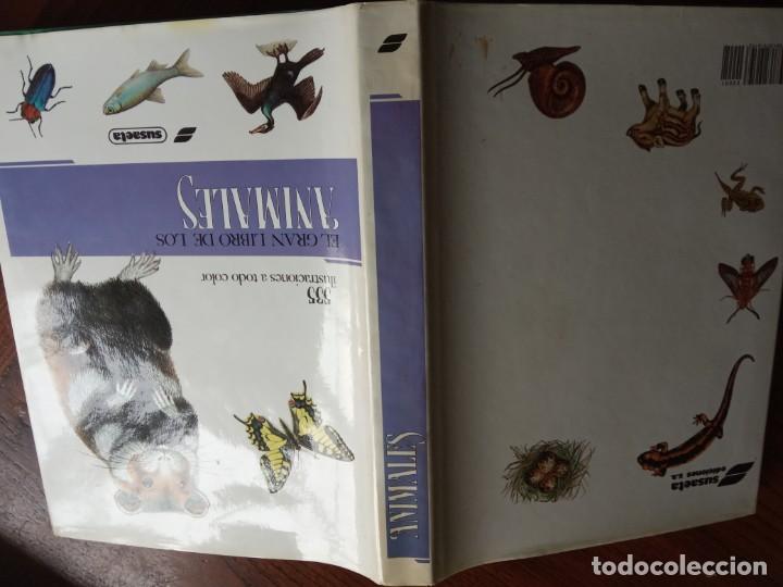 Libros de segunda mano: EL GRAN LIBRO DE LOS ANIMALES . SUSAETA 1990. - Foto 2