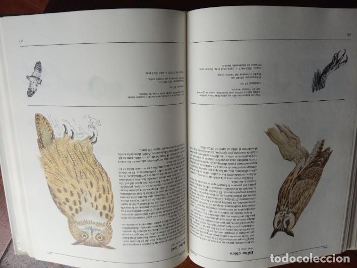 Libros de segunda mano: EL GRAN LIBRO DE LOS ANIMALES . SUSAETA 1990. - Foto 3