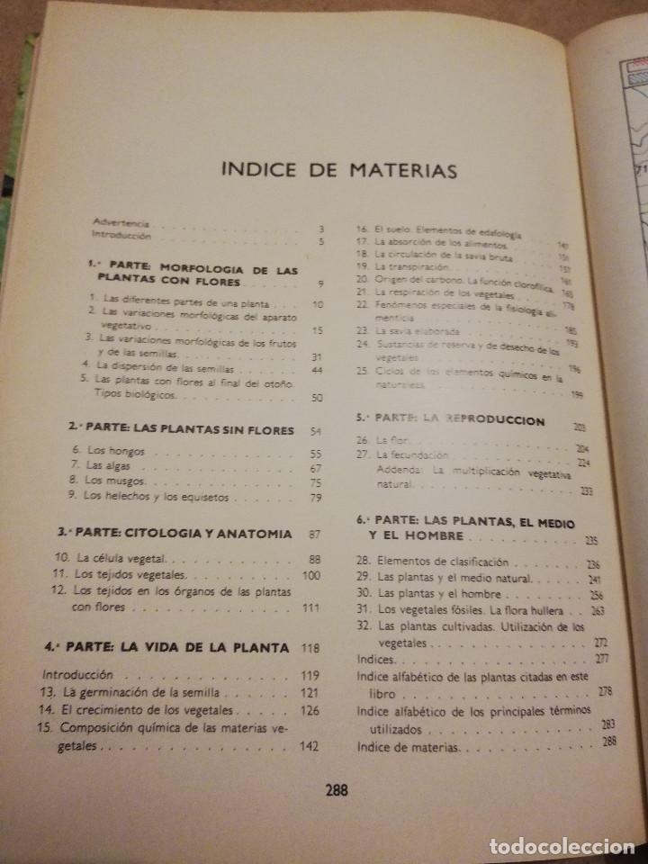 Libros de segunda mano: BOT&Aacute;NICA (ANDR&Eacute; TH&Eacute;RON) - Foto 3