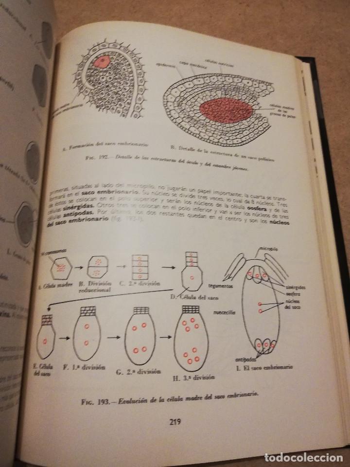 Libros de segunda mano: BOT&Aacute;NICA (ANDR&Eacute; TH&Eacute;RON) - Foto 4