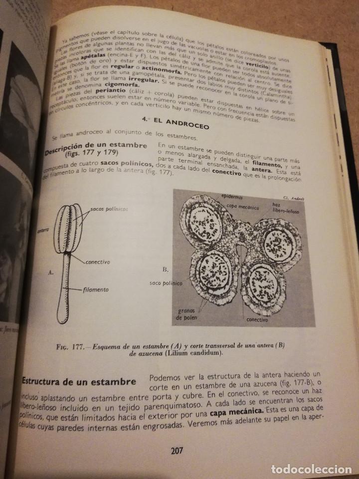 Libros de segunda mano: BOT&Aacute;NICA (ANDR&Eacute; TH&Eacute;RON) - Foto 5