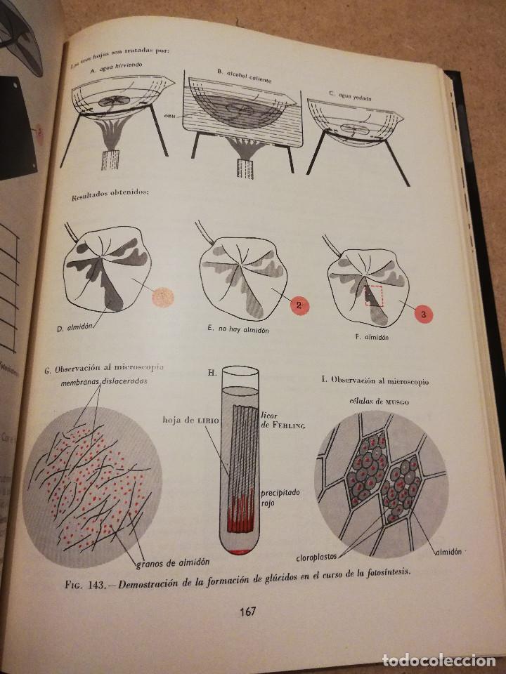 Libros de segunda mano: BOT&Aacute;NICA (ANDR&Eacute; TH&Eacute;RON) - Foto 6