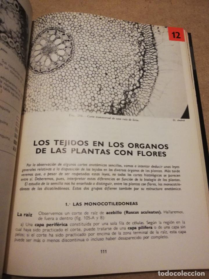 Libros de segunda mano: BOT&Aacute;NICA (ANDR&Eacute; TH&Eacute;RON) - Foto 8