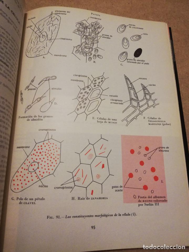Libros de segunda mano: BOT&Aacute;NICA (ANDR&Eacute; TH&Eacute;RON) - Foto 9