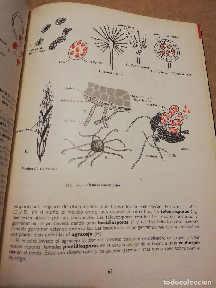 Libros de segunda mano: BOT&Aacute;NICA (ANDR&Eacute; TH&Eacute;RON) - Foto 11
