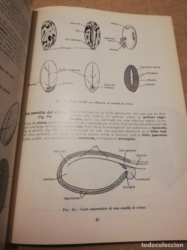 Libros de segunda mano: BOT&Aacute;NICA (ANDR&Eacute; TH&Eacute;RON) - Foto 12