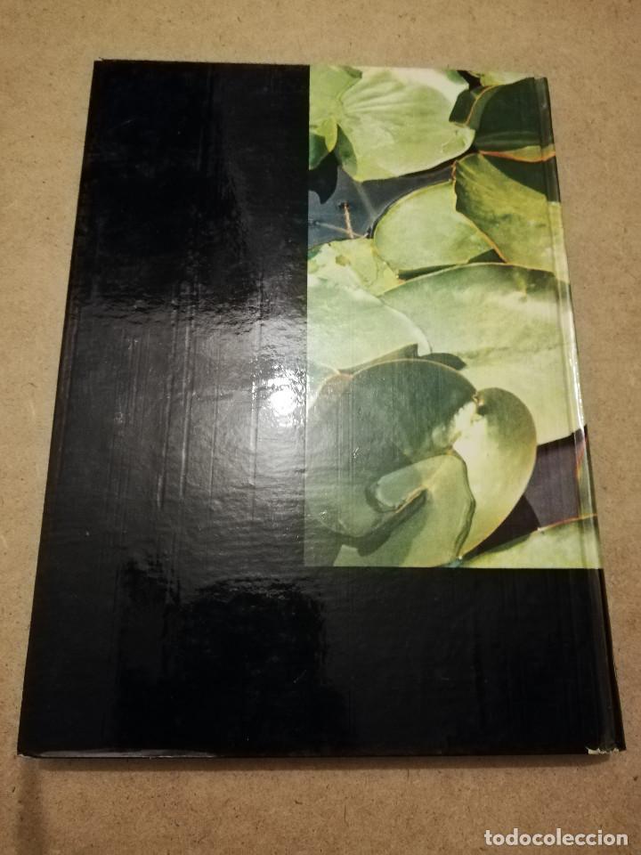 Libros de segunda mano: BOT&Aacute;NICA (ANDR&Eacute; TH&Eacute;RON) - Foto 14